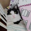 Images de profil de Marion - Blooming Pets - Petsitting et garde d'animaux à domicile