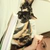 Images de profil de Loula - Blooming Pets - Petsitting et garde d'animaux à domicile