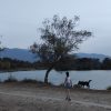 Images de profil de Loula - Blooming Pets - Petsitting et garde d'animaux à domicile