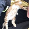 Images de profil de Lily - Blooming Pets - Petsitting et garde d'animaux à domicile
