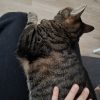 Images de profil de Yasmine - Blooming Pets - Petsitting et garde d'animaux à domicile