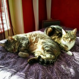 Images de profil de ASTRID - Blooming Pets - Petsitting et garde d'animaux à domicile