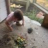 Images de profil de EMELINE - Blooming Pets - Petsitting et garde d'animaux à domicile