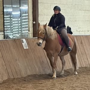 Images de profil de Lydie - Blooming Pets - Petsitting et garde d'animaux à domicile