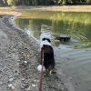 Images de profil de Julie - Blooming Pets - Petsitting et garde d'animaux à domicile