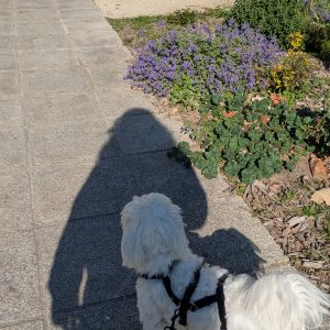 Images de profil de souad - Blooming Pets - Petsitting et garde d'animaux à domicile