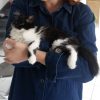 Images de profil de Justine - Blooming Pets - Petsitting et garde d'animaux à domicile