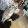 Images de profil de Lise - Blooming Pets - Petsitting et garde d'animaux à domicile