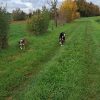 Images de profil de Lise - Blooming Pets - Petsitting et garde d'animaux à domicile
