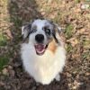 Images de profil de Jade - Blooming Pets - Petsitting et garde d'animaux à domicile