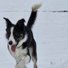 Images de profil de Audrey - Blooming Pets - Petsitting et garde d'animaux à domicile