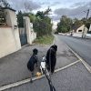 Images de profil de Amandine - Blooming Pets - Petsitting et garde d'animaux à domicile
