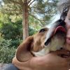 Images de profil de chloé - Blooming Pets - Petsitting et garde d'animaux à domicile
