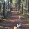 Images de profil de Ninnok - Blooming Pets - Petsitting et garde d'animaux à domicile