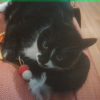 Images de profil de Claire - Blooming Pets - Petsitting et garde d'animaux à domicile