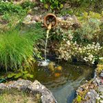 2 Poissons - 100 Litres    Femelle - Garde d'animaux à domicile