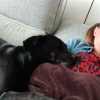Images de profil de Alexia - Blooming Pets - Petsitting et garde d'animaux à domicile
