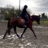 Images de profil de Louise - Blooming Pets - Petsitting et garde d'animaux à domicile