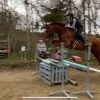 Images de profil de Louise - Blooming Pets - Petsitting et garde d'animaux à domicile
