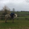 Images de profil de Louise - Blooming Pets - Petsitting et garde d'animaux à domicile
