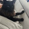 Images de profil de Aurore - Blooming Pets - Petsitting et garde d'animaux à domicile