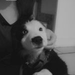 Image de profil de Ilona - Blooming Pets - Petsitting et garde d'animaux à domicile