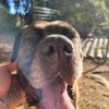 Images de profil de alexandre - Blooming Pets - Petsitting et garde d'animaux à domicile