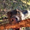 Images de profil de alexandre - Blooming Pets - Petsitting et garde d'animaux à domicile