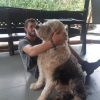 Images de profil de alexandre - Blooming Pets - Petsitting et garde d'animaux à domicile