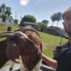 Images de profil de alexandre - Blooming Pets - Petsitting et garde d'animaux à domicile