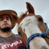 Images de profil de alexandre - Blooming Pets - Petsitting et garde d'animaux à domicile