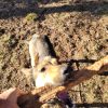 Images de profil de alexandre - Blooming Pets - Petsitting et garde d'animaux à domicile