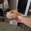 Images de profil de alexandre - Blooming Pets - Petsitting et garde d'animaux à domicile