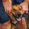 Images de profil de alexandre - Blooming Pets - Petsitting et garde d'animaux à domicile