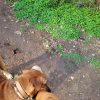 Images de profil de alexandre - Blooming Pets - Petsitting et garde d'animaux à domicile