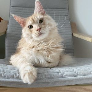 Images de profil de Sandra - Blooming Pets - Petsitting et garde d'animaux Ă domicile