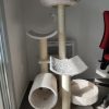 Images de profil de Clara - Blooming Pets - Petsitting et garde d'animaux à domicile