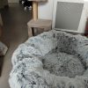 Images de profil de Clara - Blooming Pets - Petsitting et garde d'animaux à domicile