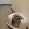 Images de profil de Clara - Blooming Pets - Petsitting et garde d'animaux à domicile