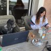 Images de profil de Laia - Blooming Pets - Petsitting et garde d'animaux à domicile