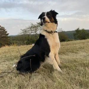 Amy