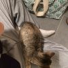Images de profil de Joana - Blooming Pets - Petsitting et garde d'animaux à domicile