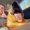 Images de profil de ines - Blooming Pets - Petsitting et garde d'animaux à domicile