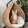 Images de profil de Diane - Blooming Pets - Petsitting et garde d'animaux à domicile