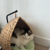Images de profil de Diane - Blooming Pets - Petsitting et garde d'animaux à domicile