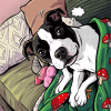Images de profil de Maude - Blooming Pets - Petsitting et garde d'animaux à domicile