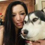 Houston Houston Siberian Husky MĂąle - Garde d'animaux Ă domicile