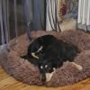 Images de profil de sandrine - Blooming Pets - Petsitting et garde d'animaux à domicile