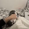 Images de profil de ROMANE - Blooming Pets - Petsitting et garde d'animaux à domicile
