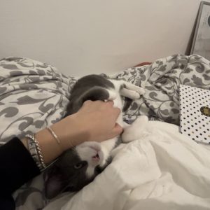 Images de profil de ROMANE - Blooming Pets - Petsitting et garde d'animaux à domicile